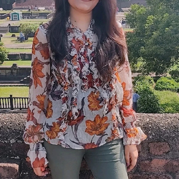 Zara Women’s Blouse Fall Leaf Ruffle Long Sleeve Peasant Flutter Sleeve Sheer M - Picture 3 of 16